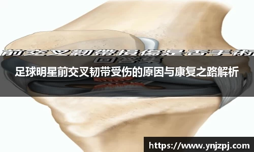 好博(中国)体育