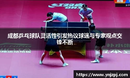 成都乒乓球队灵活性引发热议球迷与专家观点交锋不断
